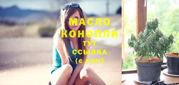 дмт Дмитровск