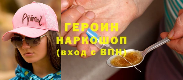 индика Дмитриев