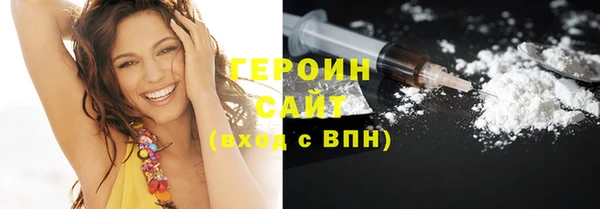 индика Дмитриев