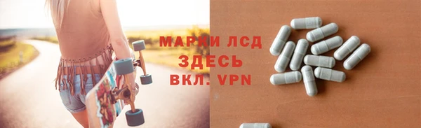 индика Дмитриев