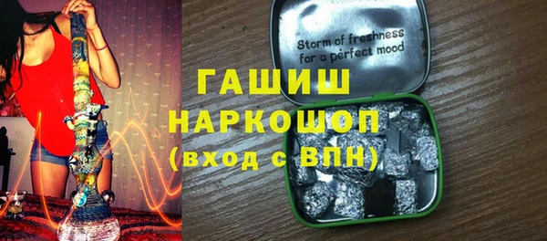 индика Дмитриев