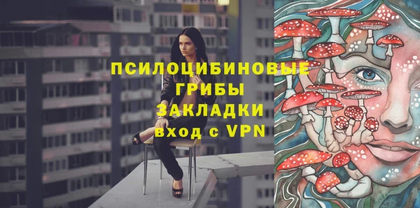 дмт Дмитровск