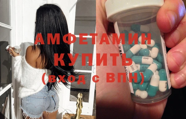 индика Дмитриев