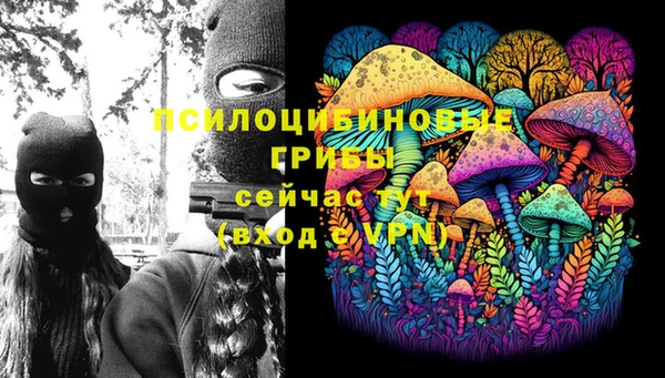 индика Дмитриев