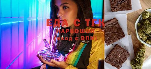 индика Дмитриев