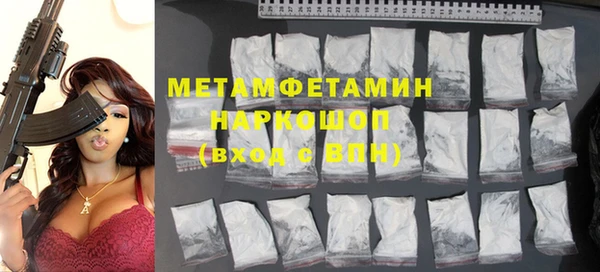 индика Дмитриев