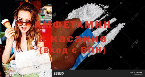 индика Дмитриев