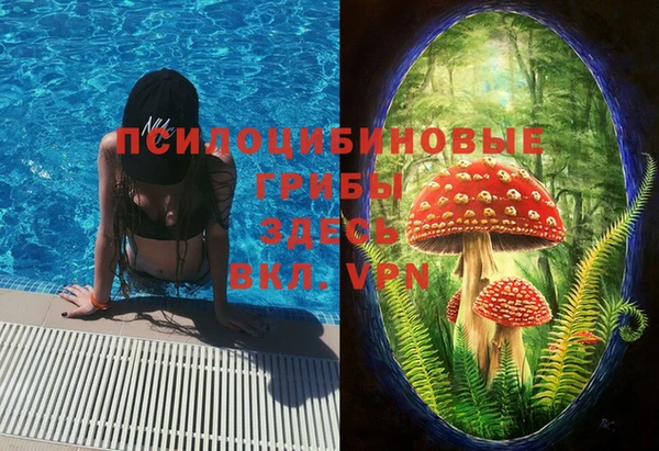 мяу мяу кристалл Дмитров