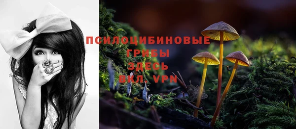 дмт Дмитровск