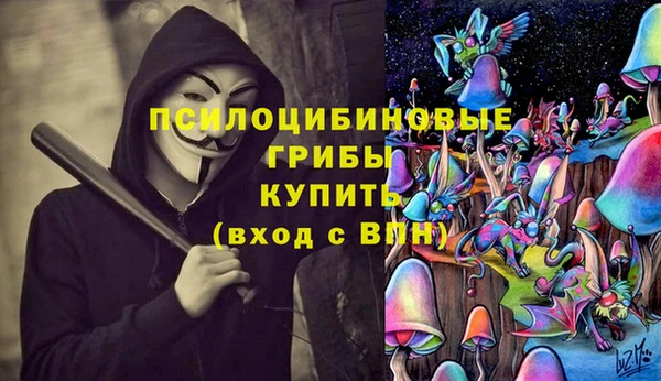 индика Дмитриев