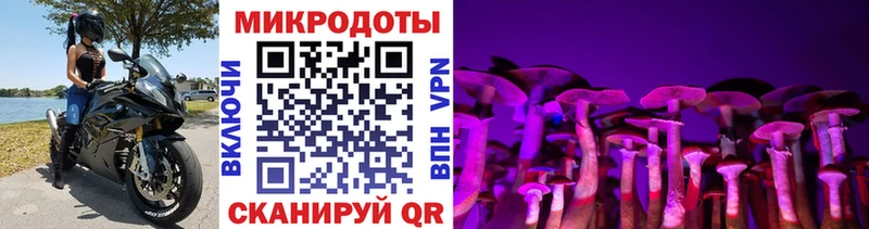Галлюциногенные грибы MAGIC MUSHROOMS Артёмовск