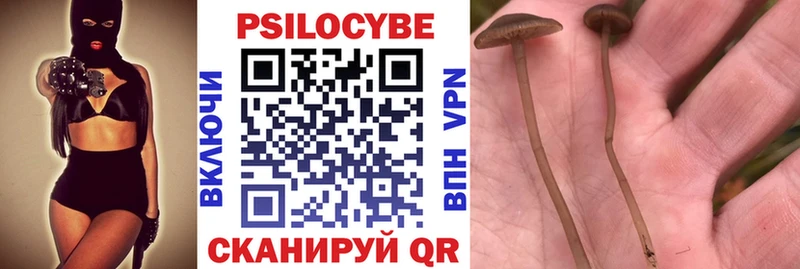 Купить закладки  Артёмовск  Псилоцибиновые грибы прущие грибы 